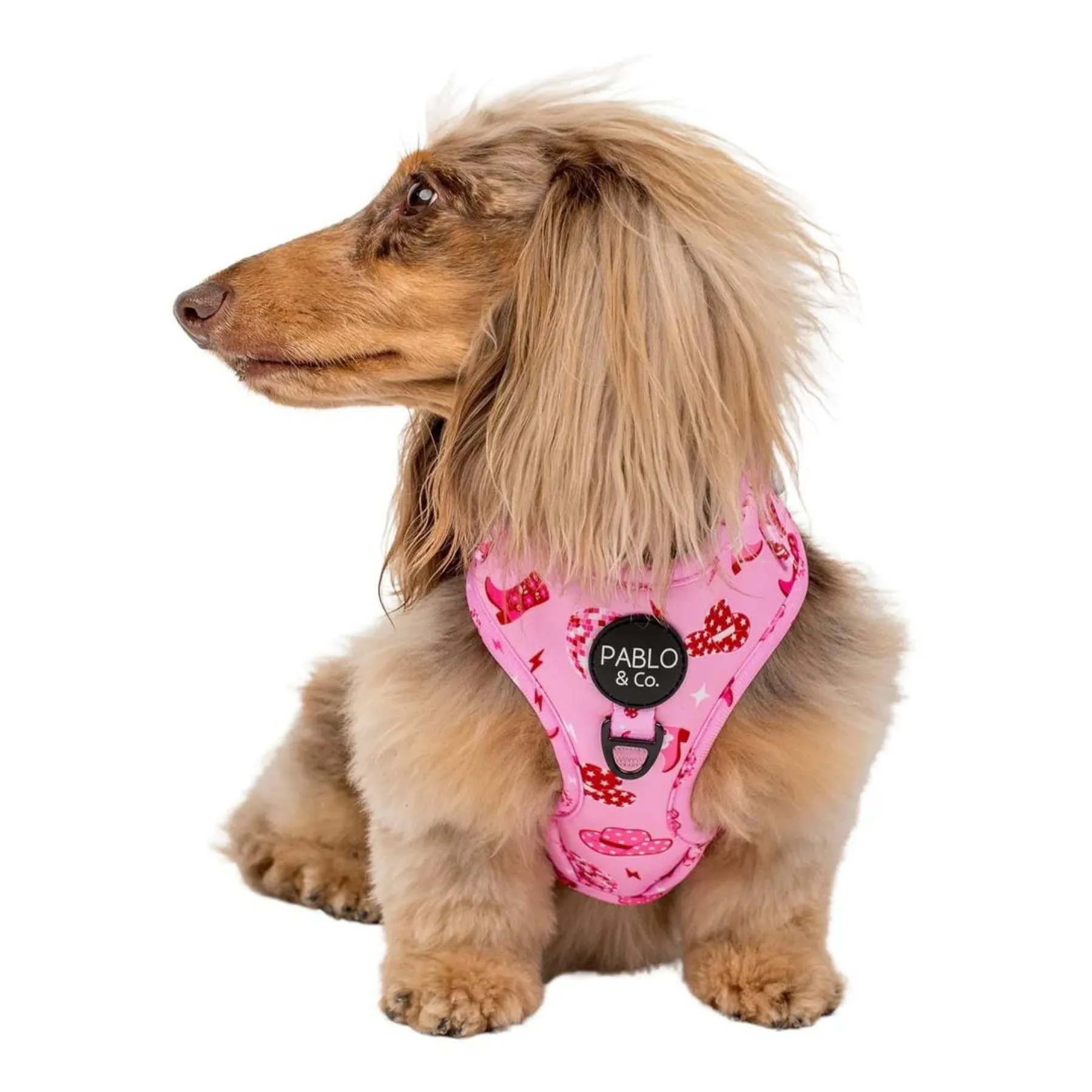 Disco Cowgirl Adjustable Dog Harness