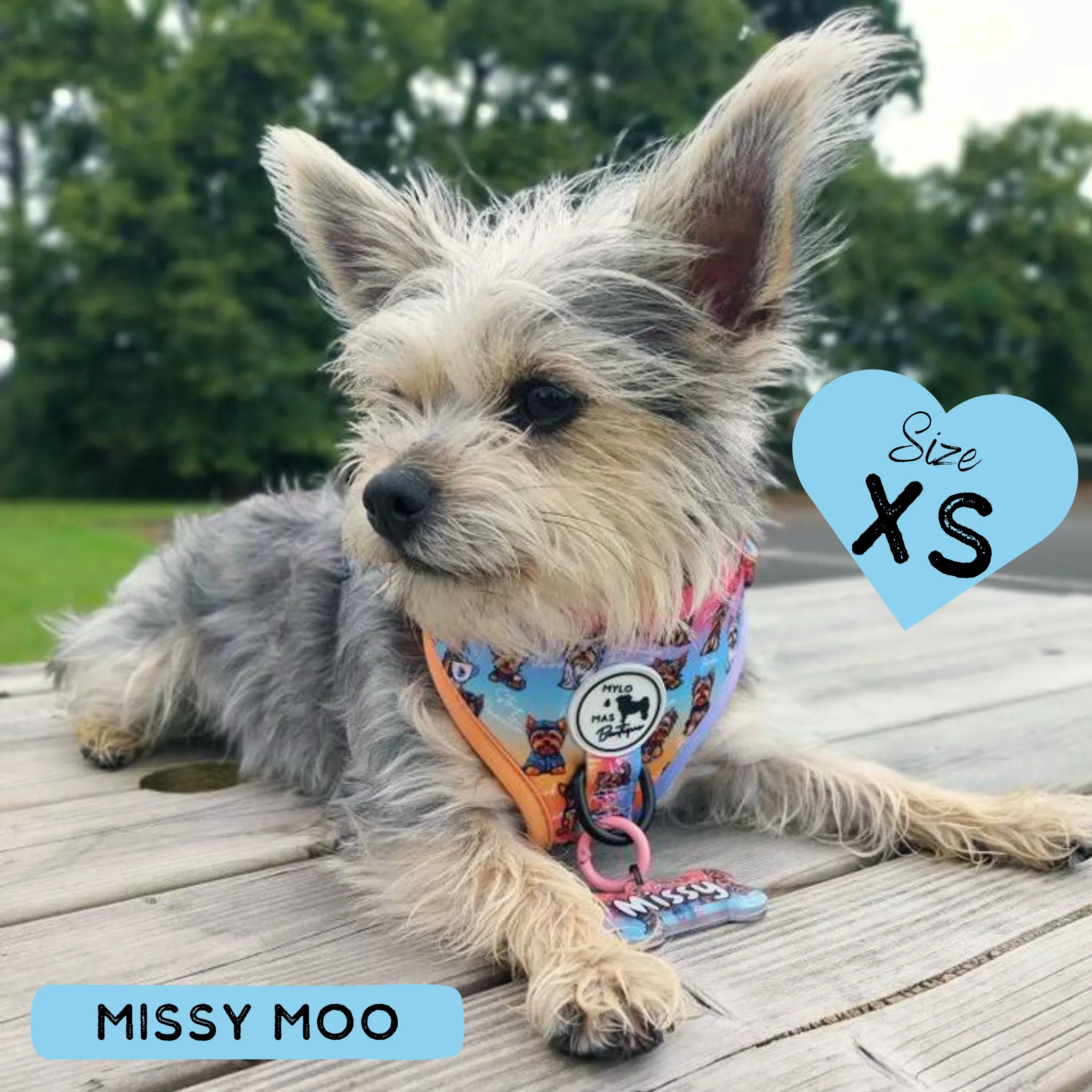 Dog Adjustable Harness - Oh My Yorkie!