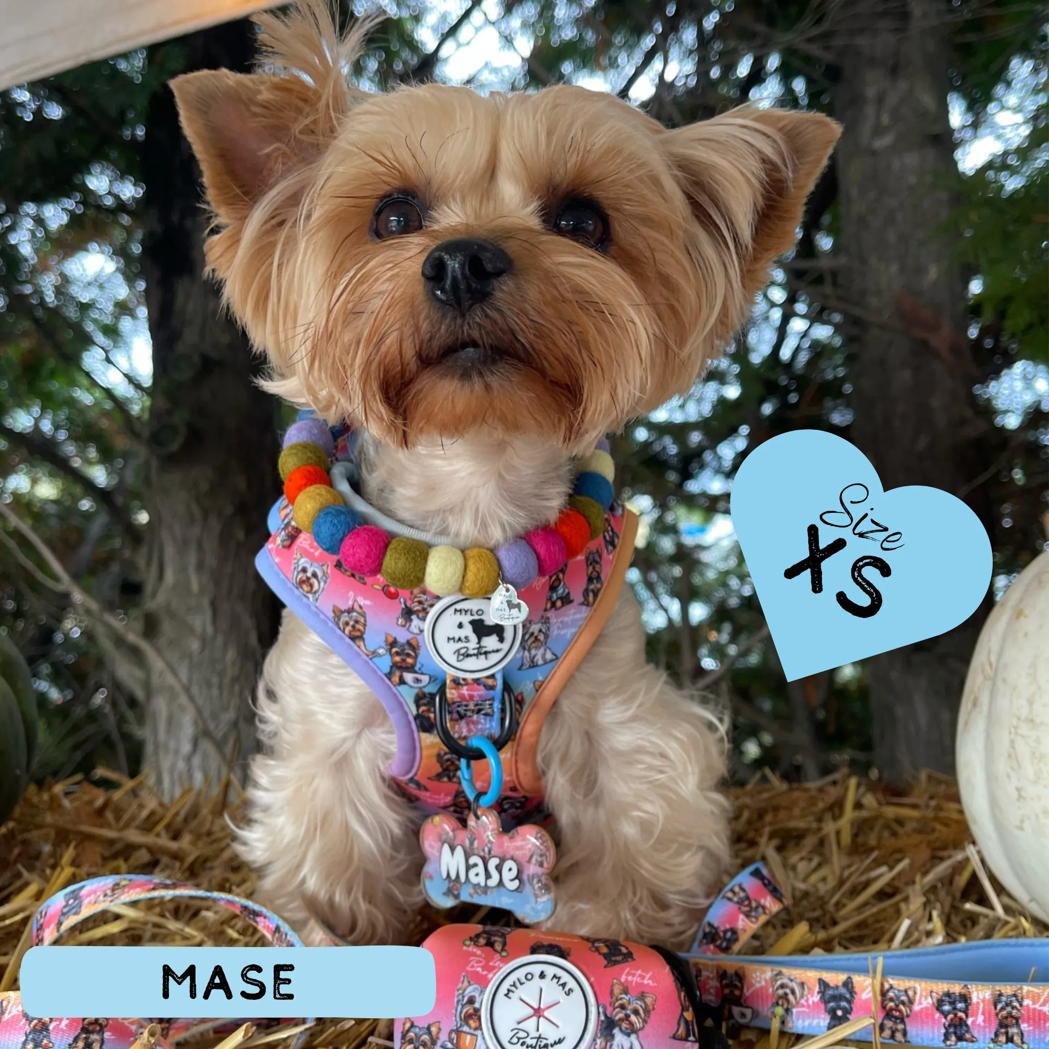 Dog Adjustable Harness - Oh My Yorkie!