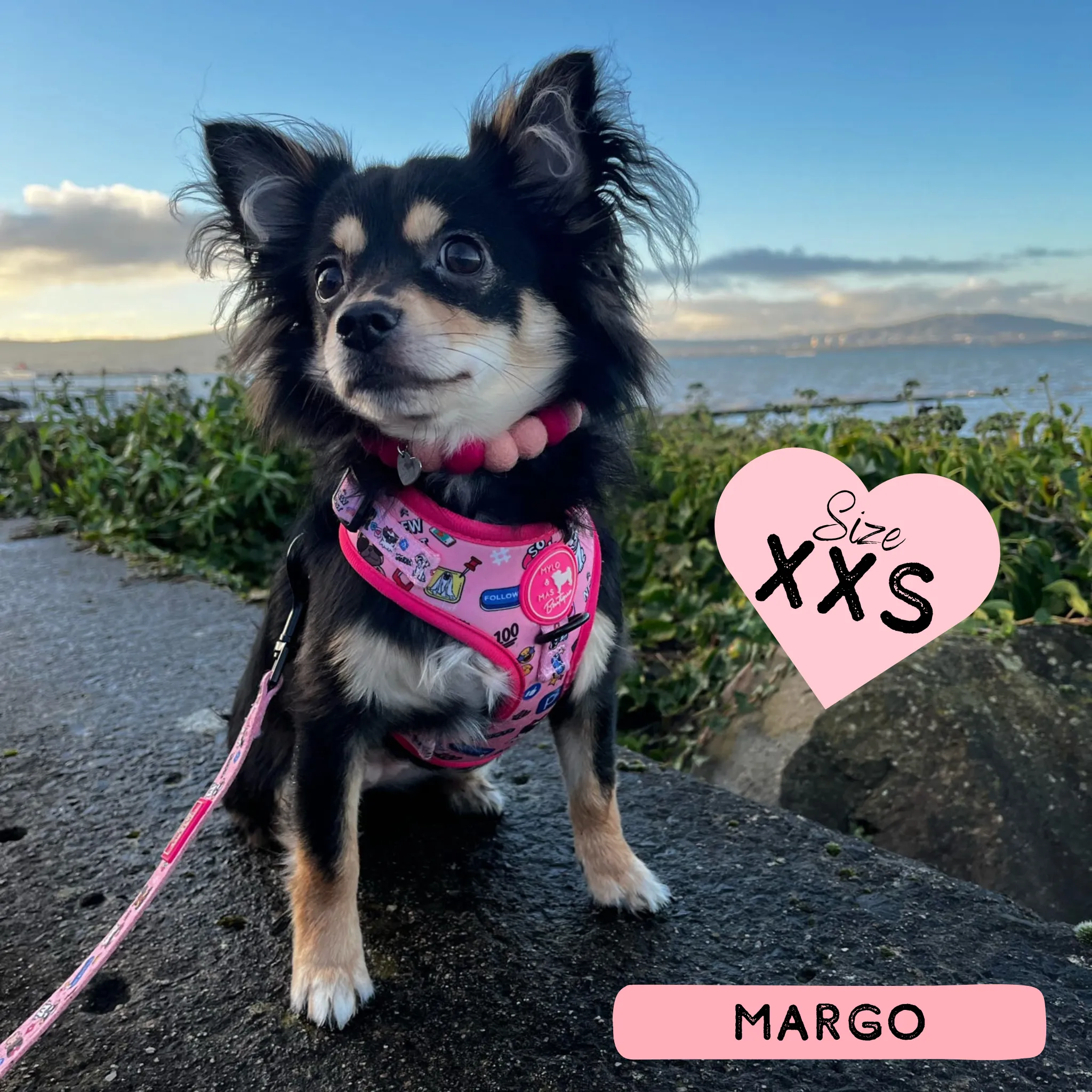 Dog Adjustable Harness - Social Media Star Pink