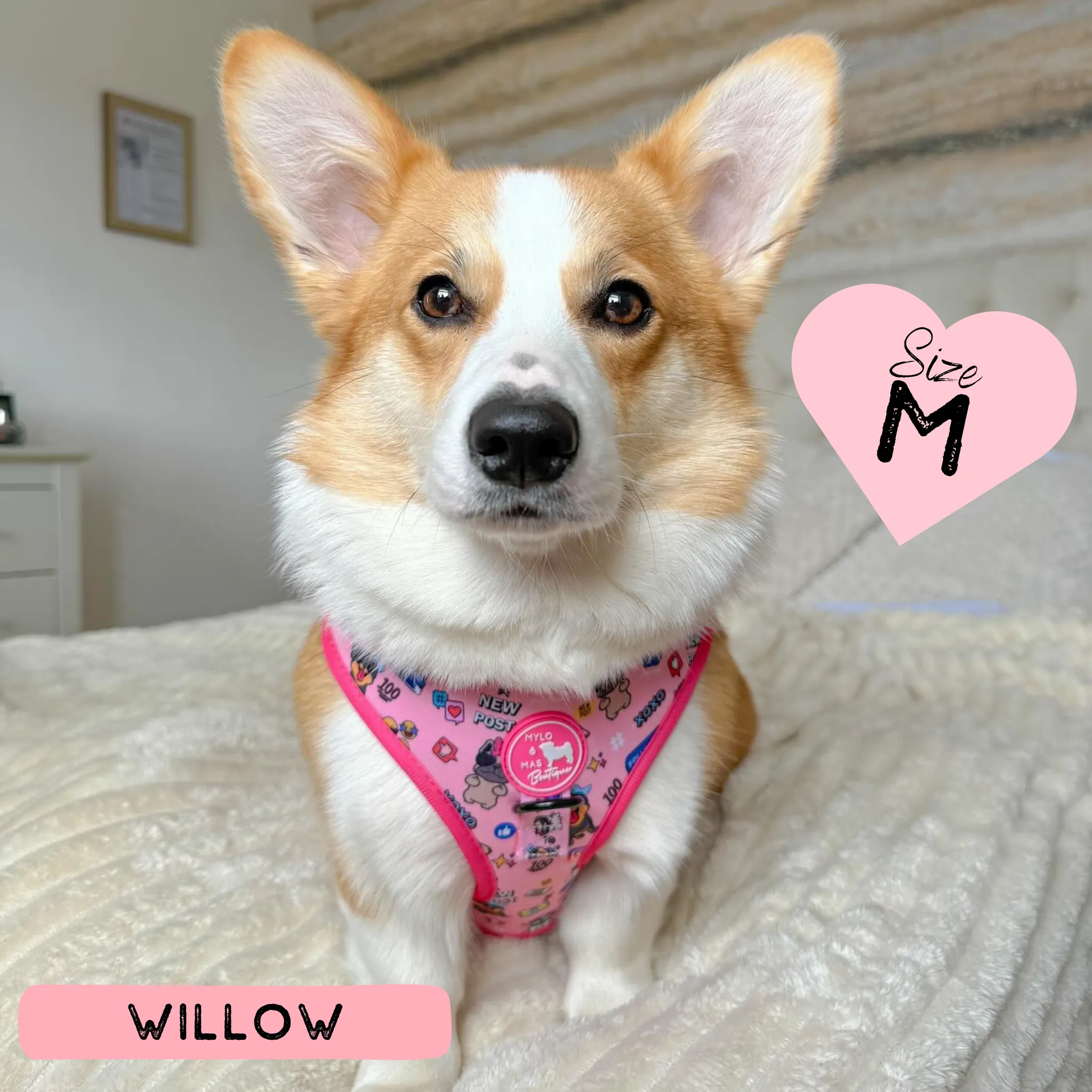 Dog Adjustable Harness - Social Media Star Pink