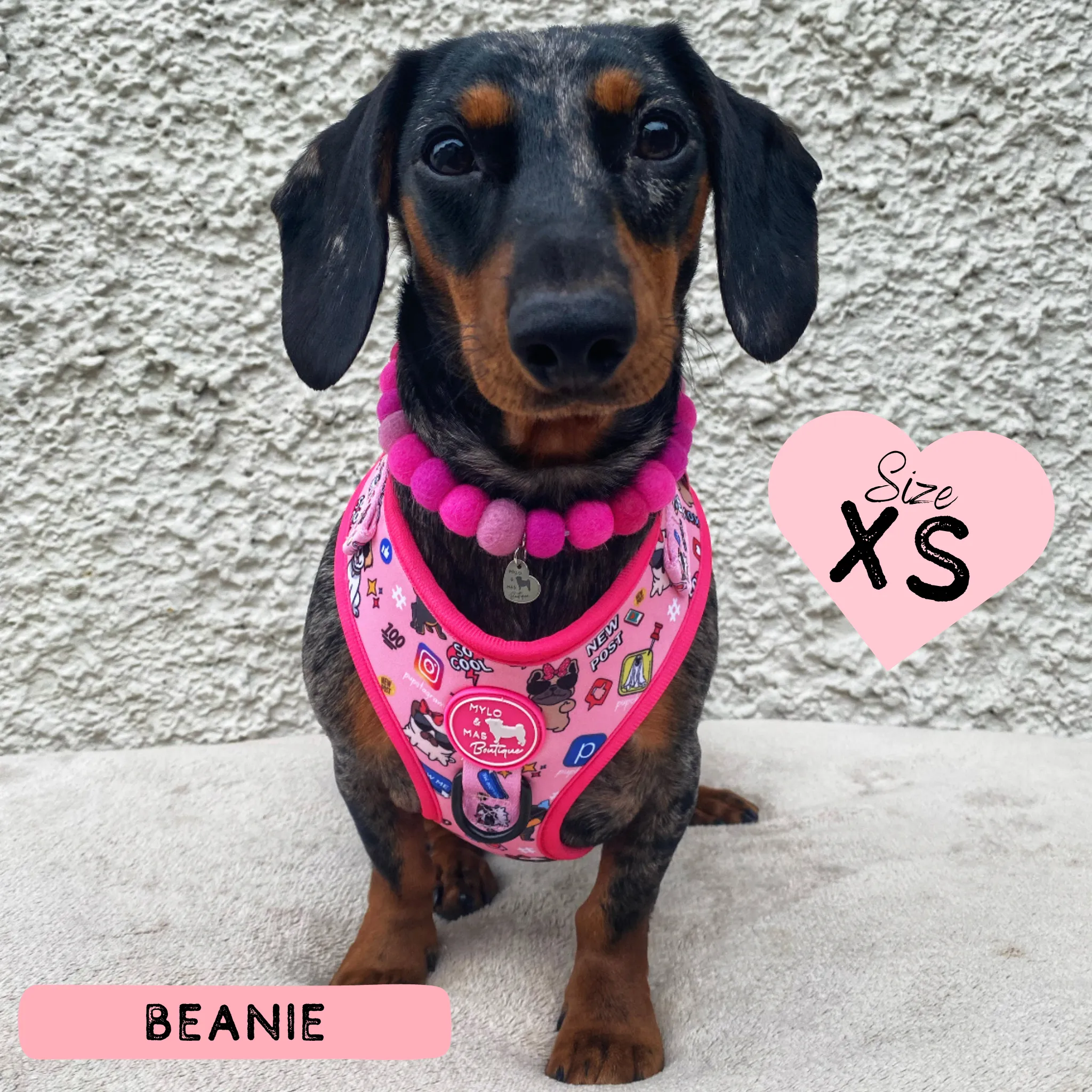 Dog Adjustable Harness - Social Media Star Pink
