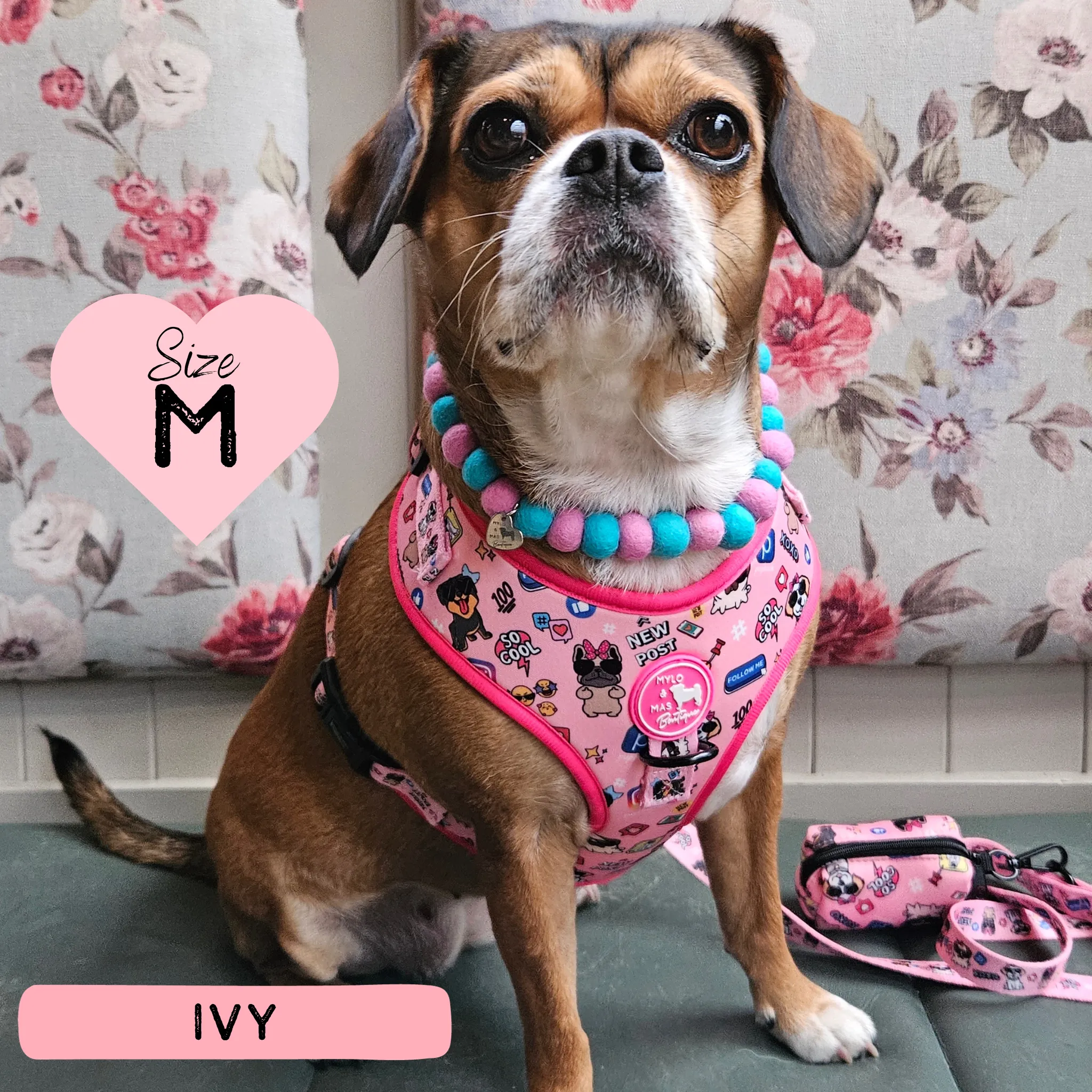 Dog Adjustable Harness - Social Media Star Pink