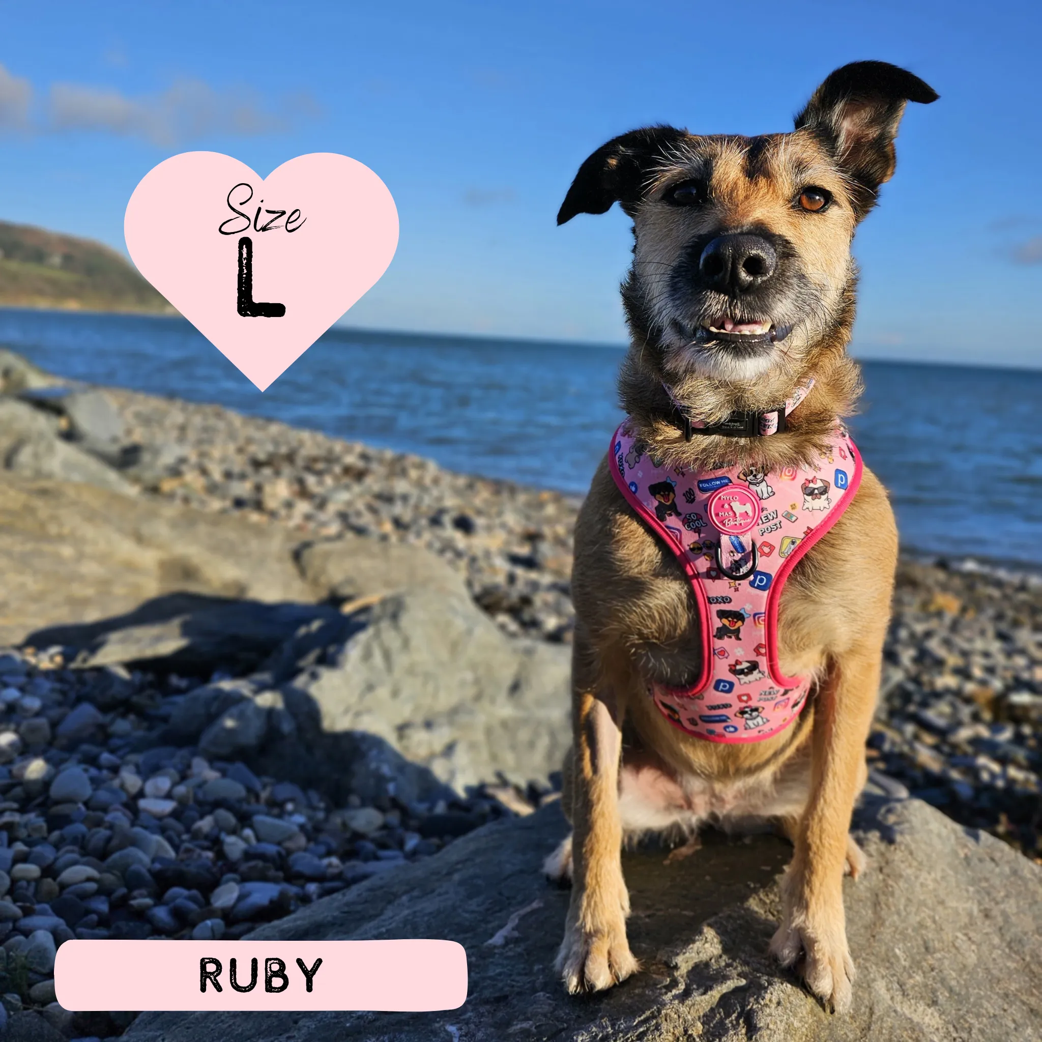 Dog Adjustable Harness - Social Media Star Pink