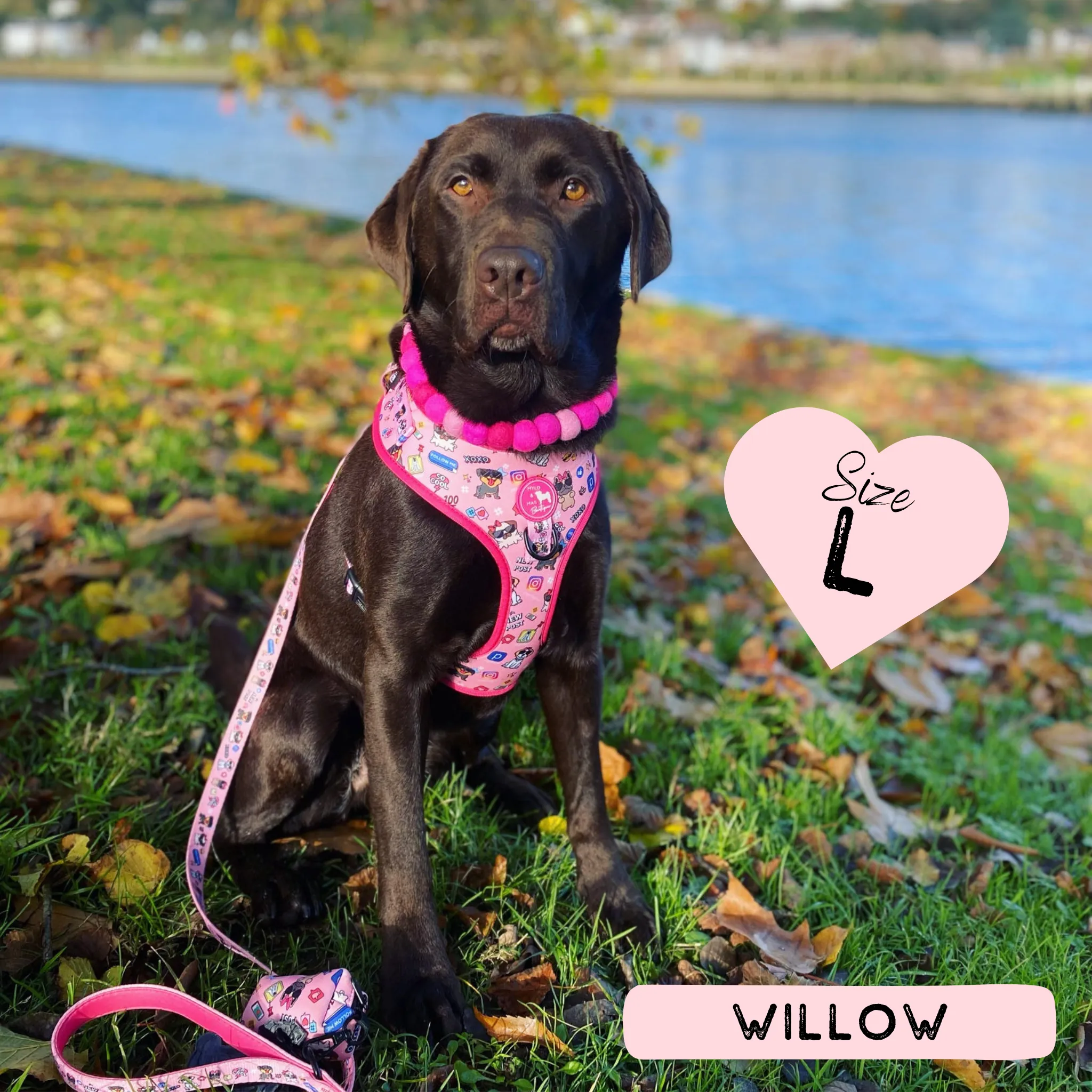 Dog Adjustable Harness - Social Media Star Pink