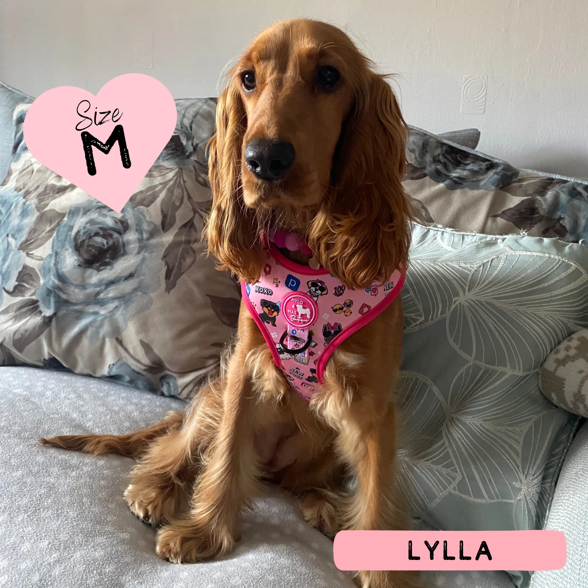Dog Adjustable Harness - Social Media Star Pink