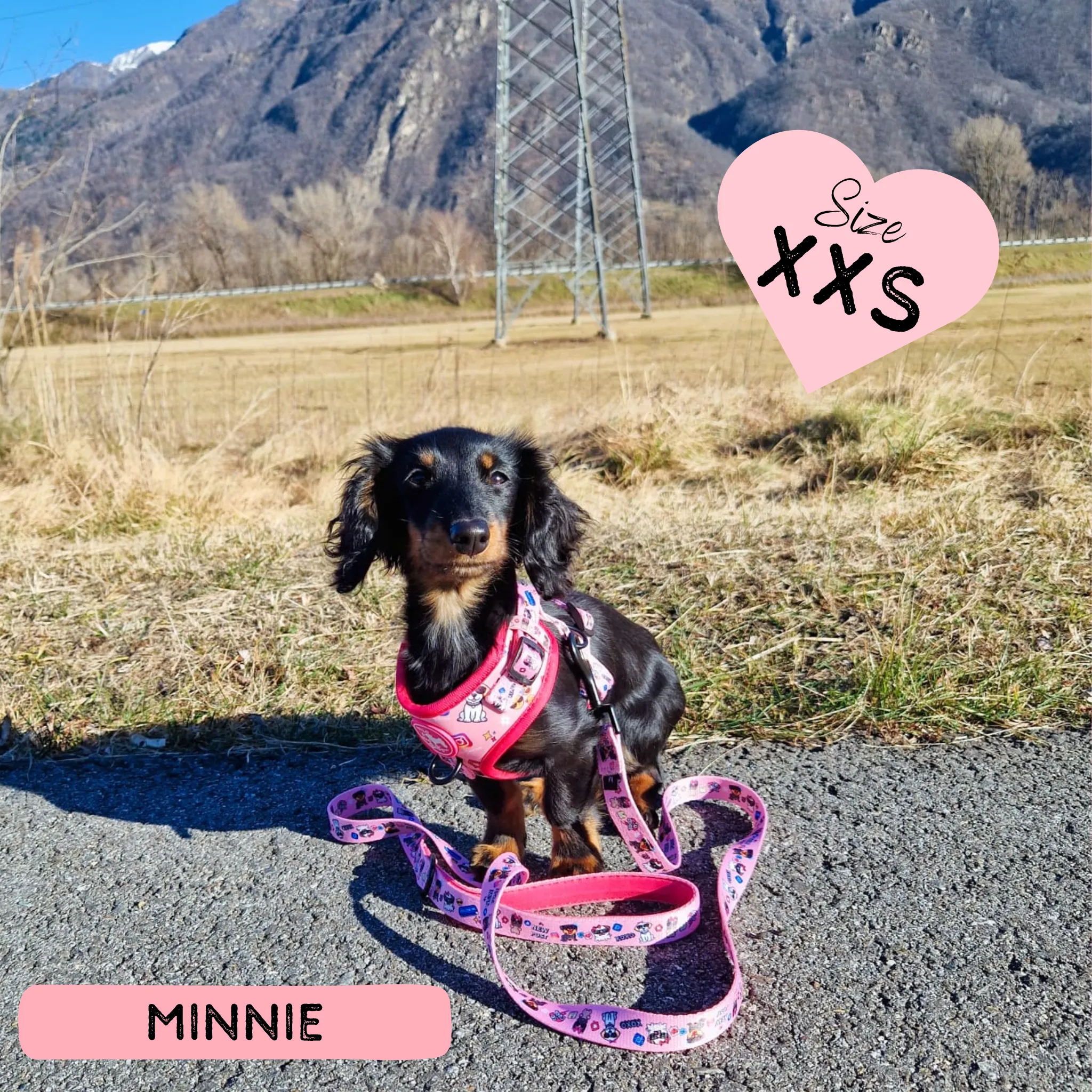 Dog Adjustable Harness - Social Media Star Pink