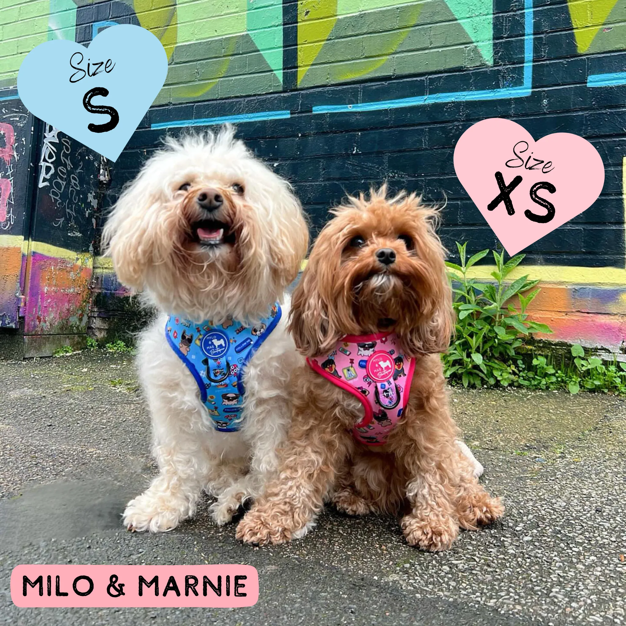 Dog Adjustable Harness - Social Media Star Pink