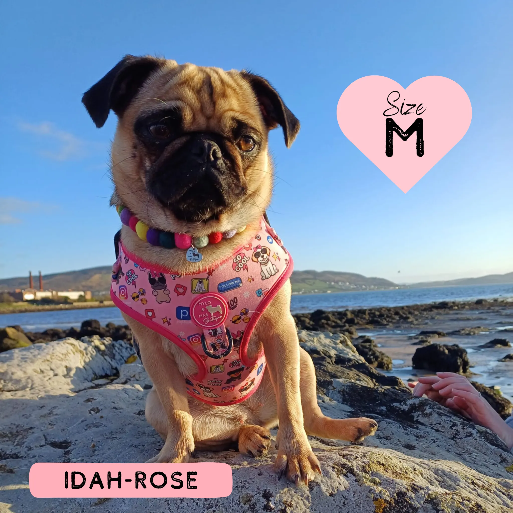 Dog Adjustable Harness - Social Media Star Pink