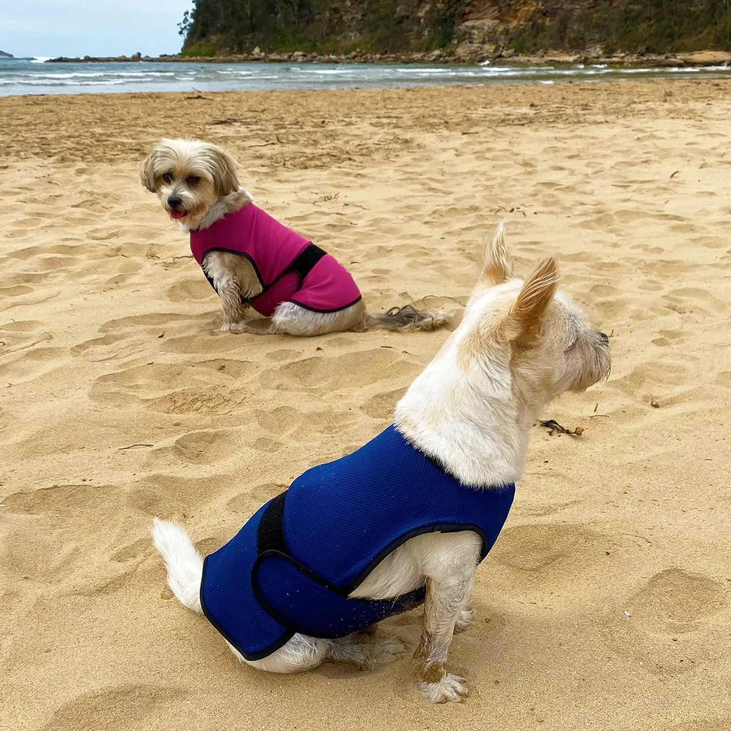 Dog Cooling Vest. Lightweight Jacket with Evaporative Cool Microfiber Technology, UV Protection Shirt for Beach, Sizing for Small, Medium and Large Dogs (L, Dark Blue)