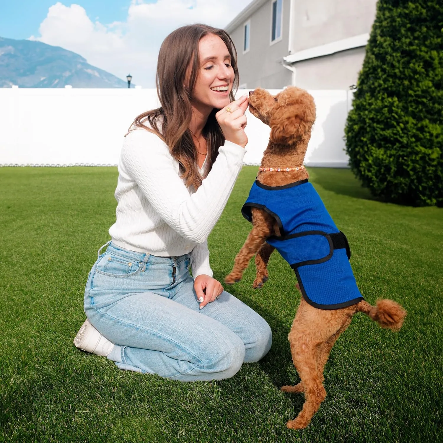 Dog Cooling Vest. Lightweight Jacket with Evaporative Cool Microfiber Technology, UV Protection Shirt for Beach, Sizing for Small, Medium and Large Dogs (L, Dark Blue)
