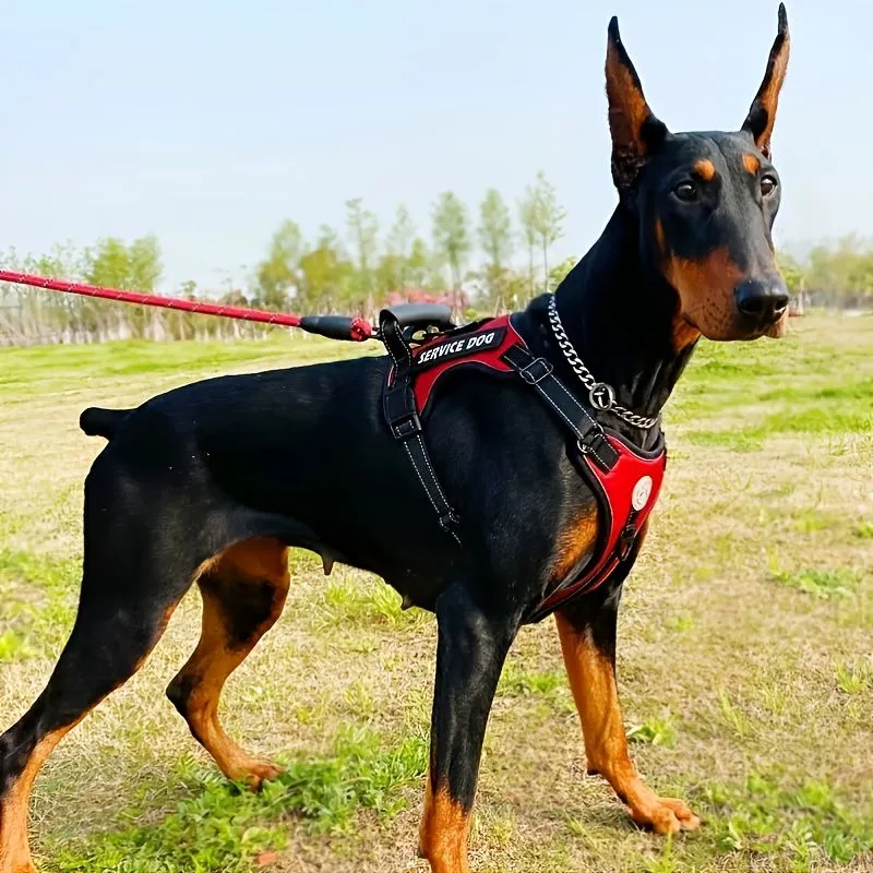 Dog Harness Vest