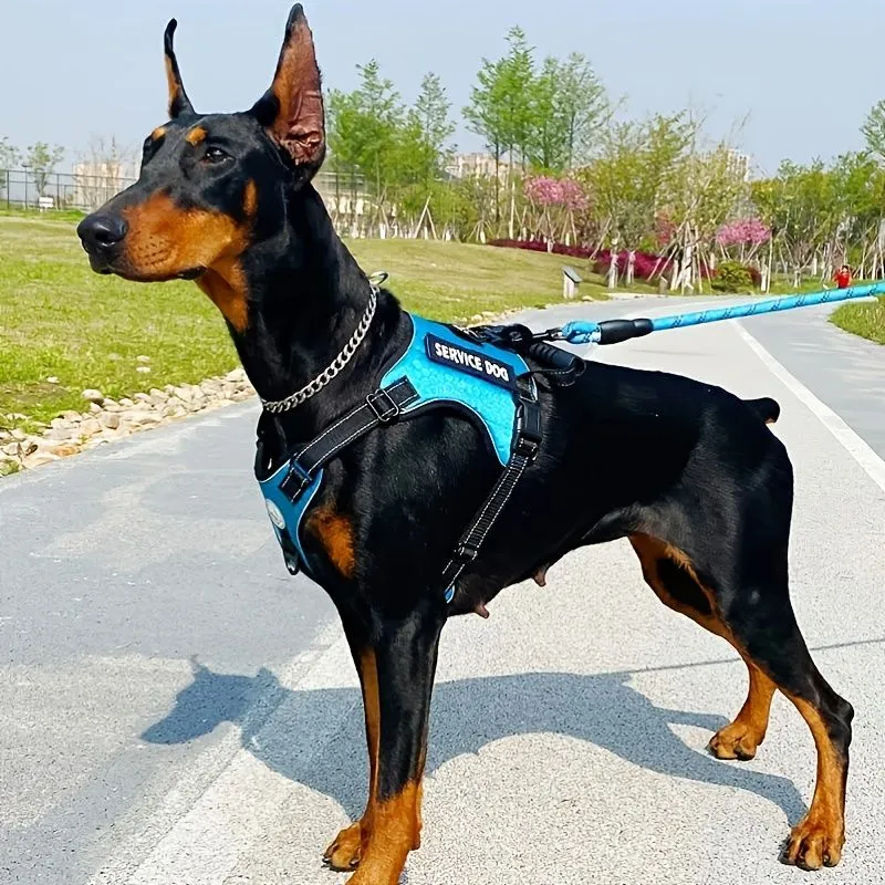 Dog Harness Vest