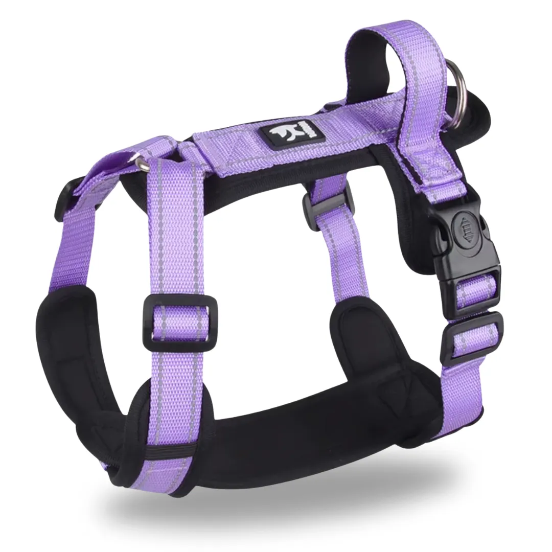 Dog harness with handle