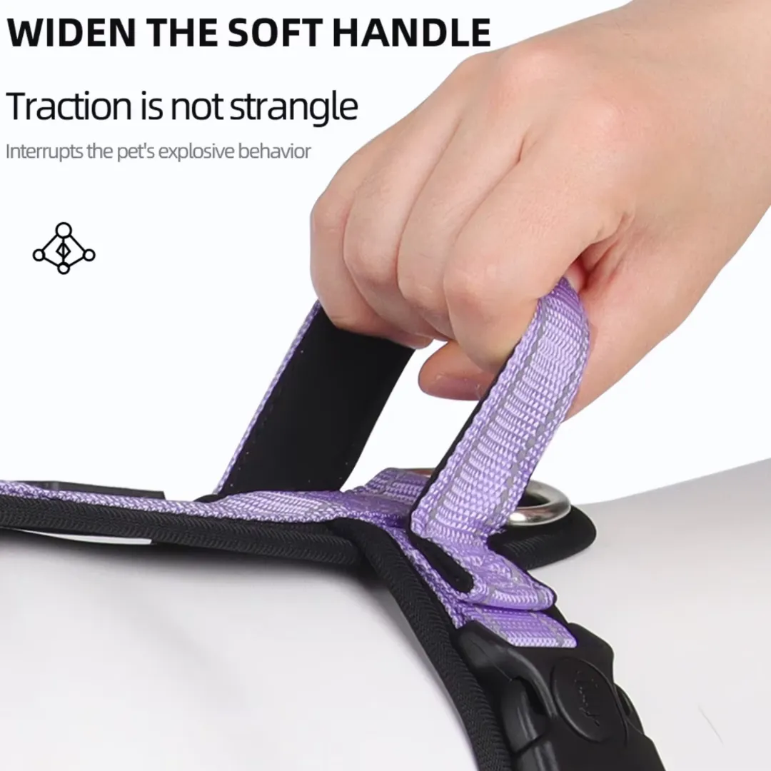 Dog harness with handle