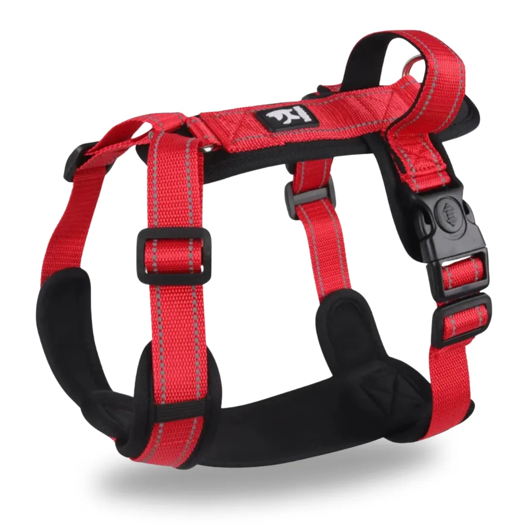 Dog harness with handle
