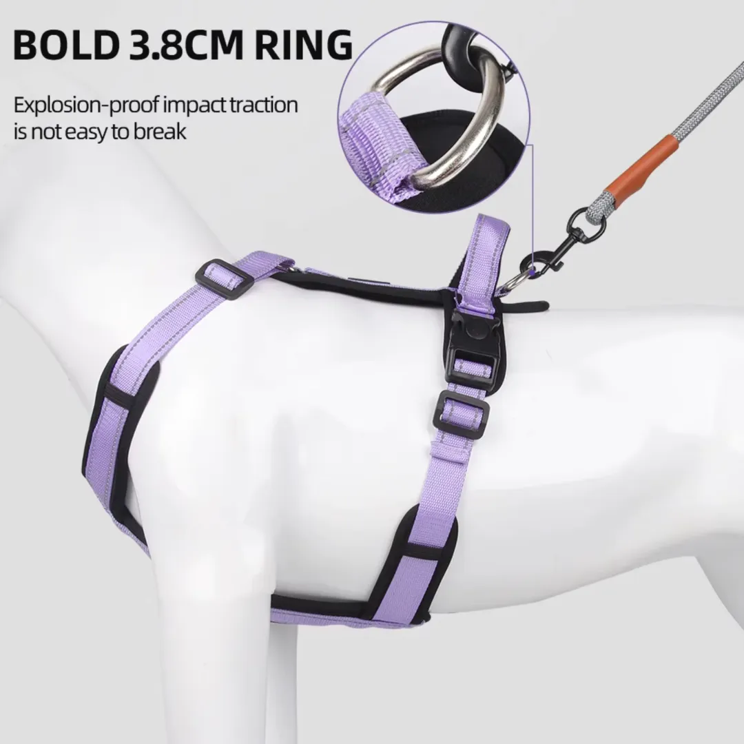 Dog harness with handle