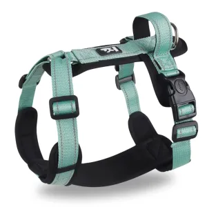 Dog harness with handle