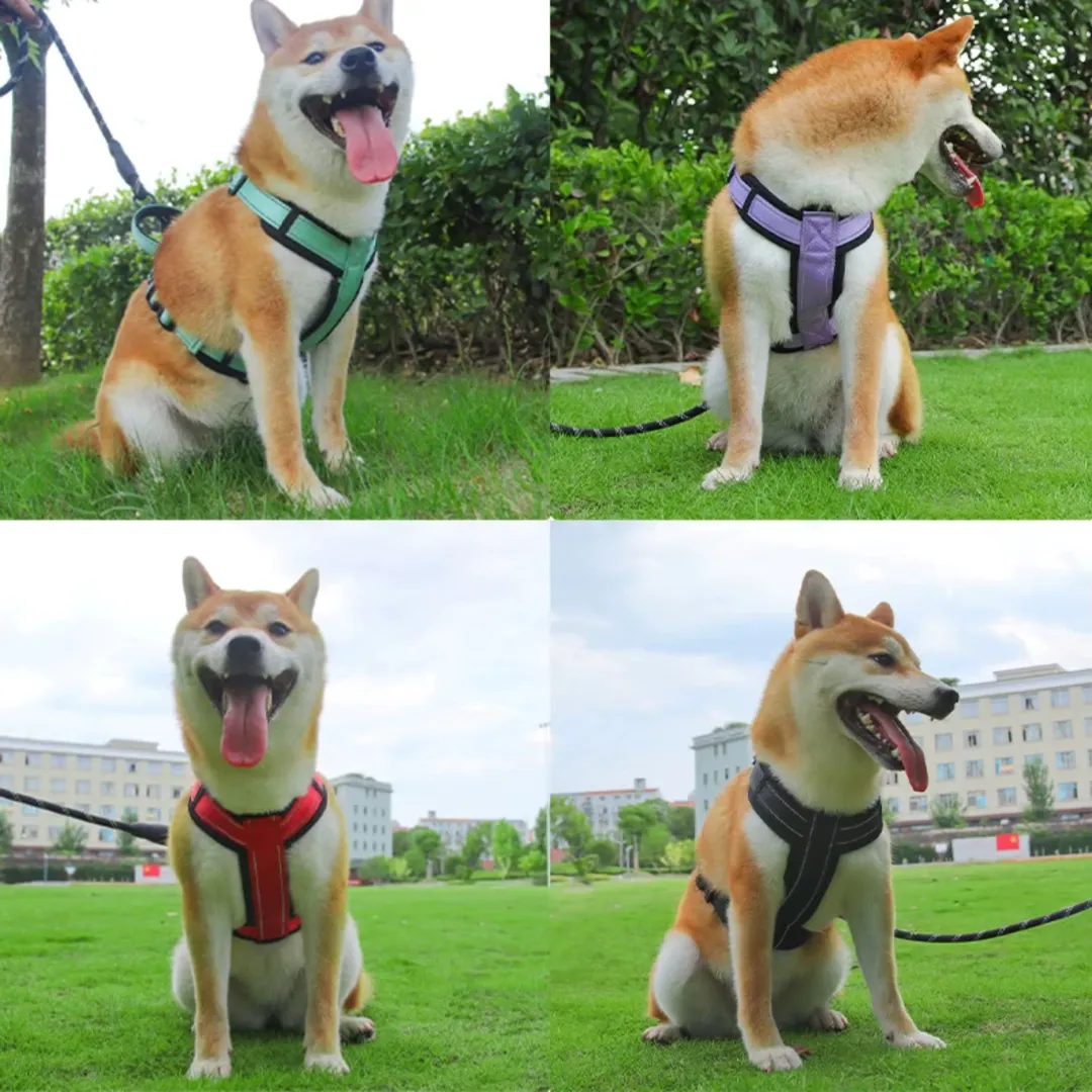 Dog harness with handle