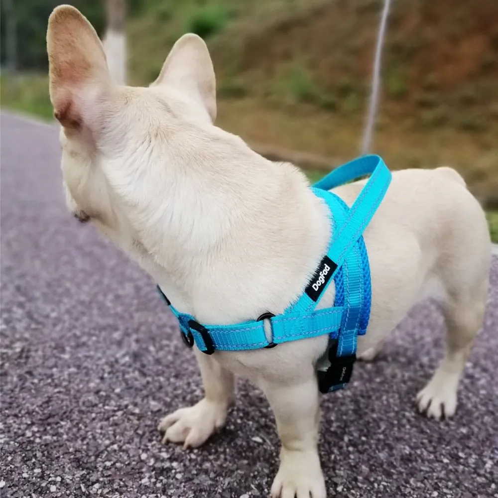 Dog Harness