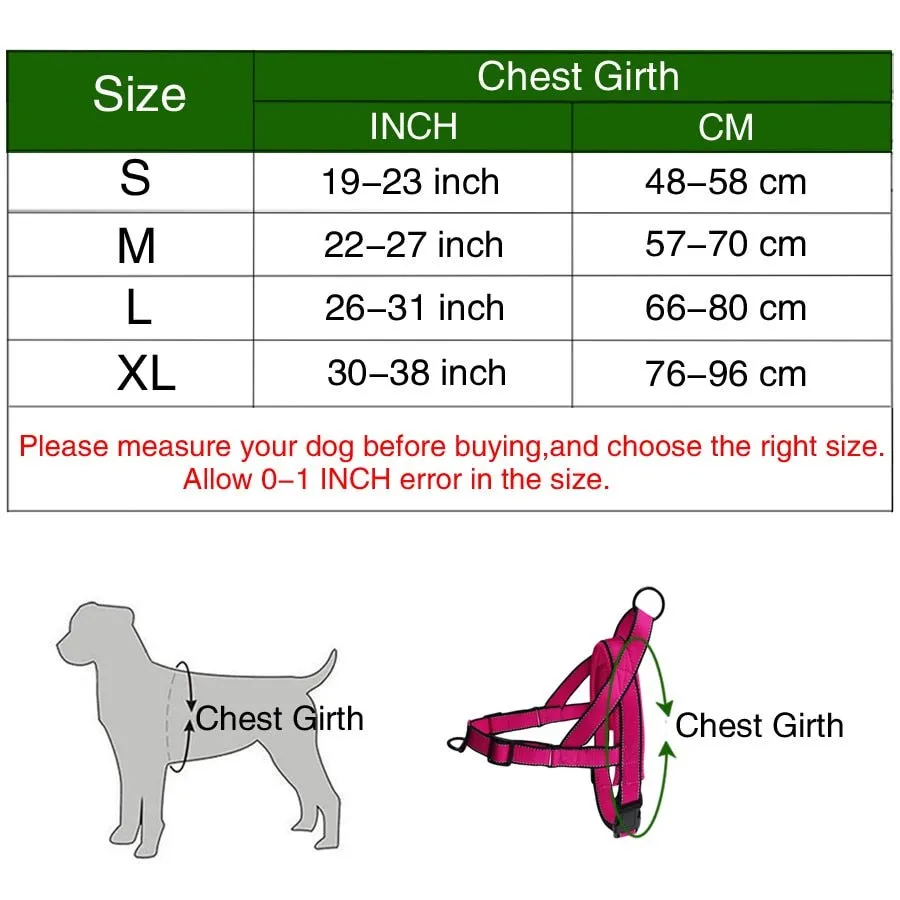 Dog Harness