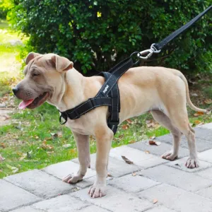 Dog Harness
