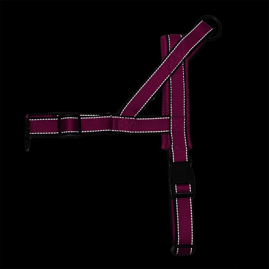 Dog Harness
