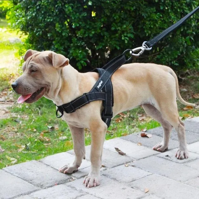 Dog Harness