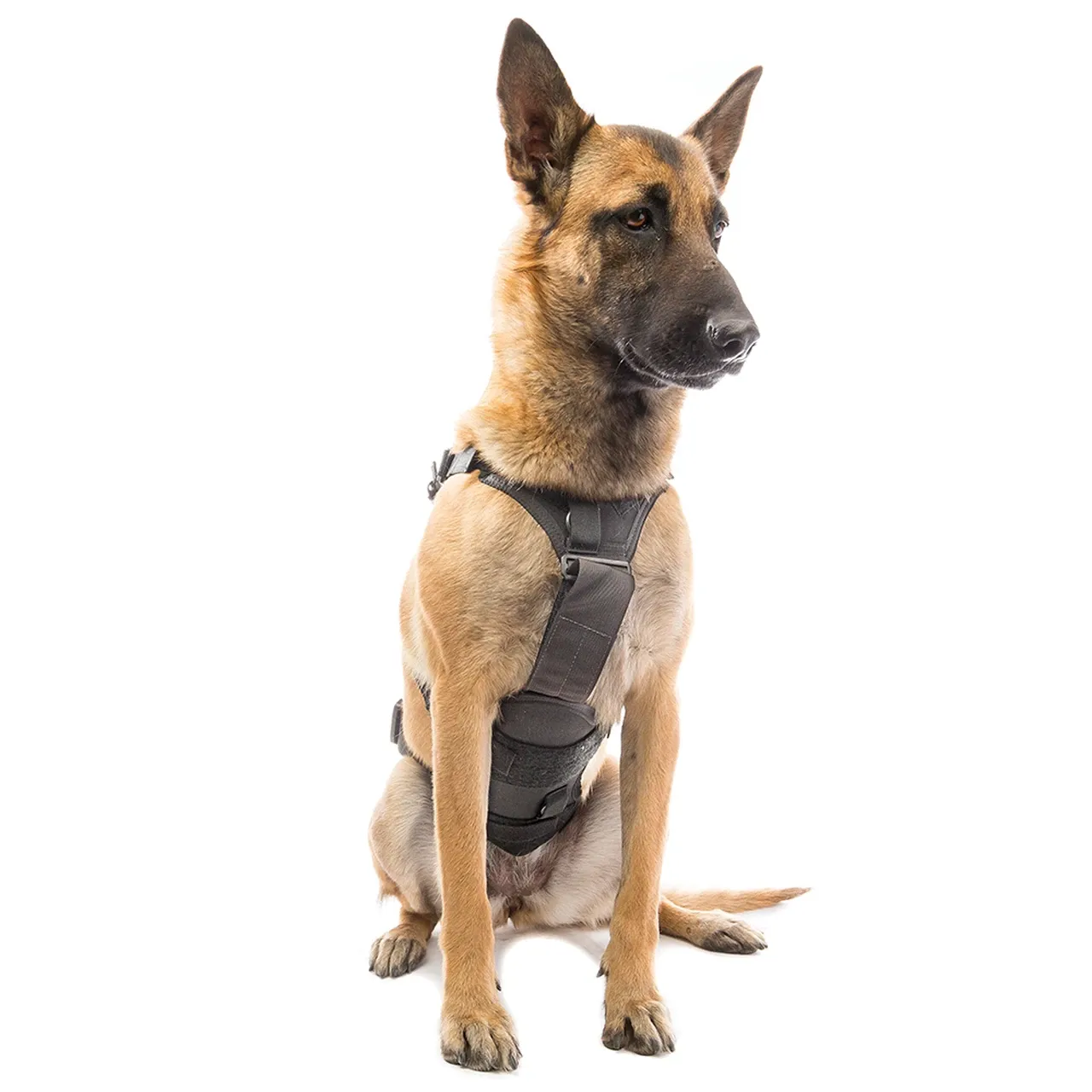 Eagle Industries - CANINE ADJUSTABLE HARNESS Black