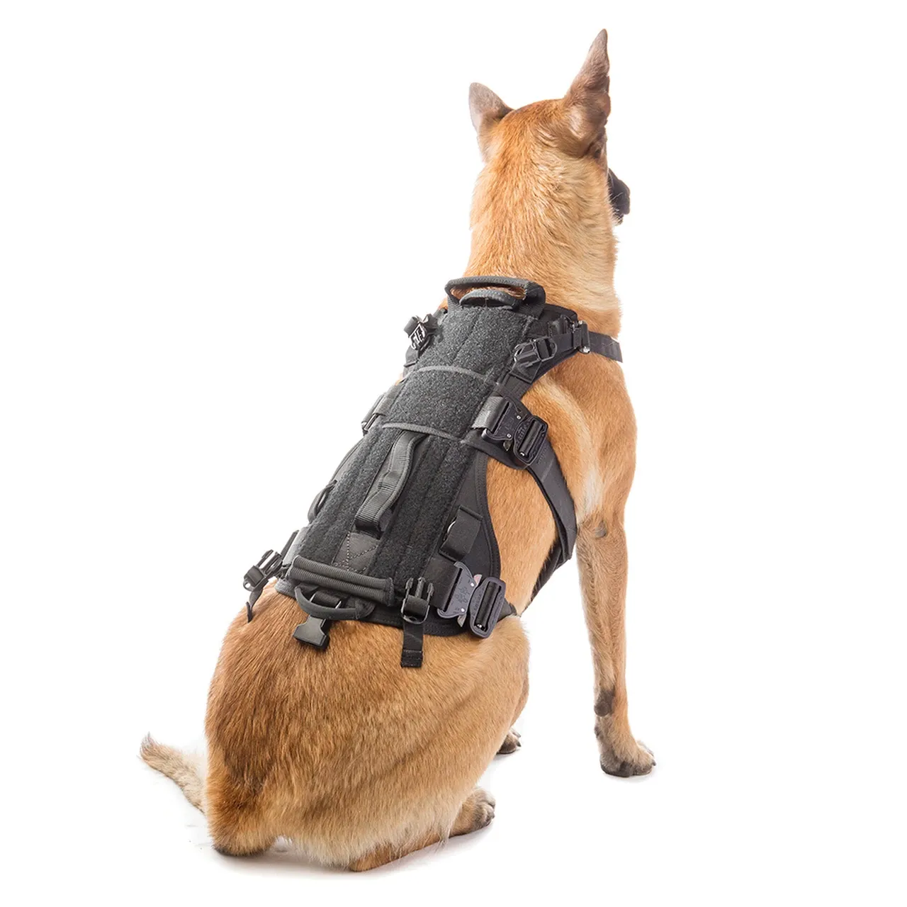 Eagle Industries - CANINE ADJUSTABLE HARNESS Black