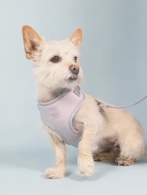 Easy Fit Nylon Fabric Cushioned Dog Harness | Frosted Blue