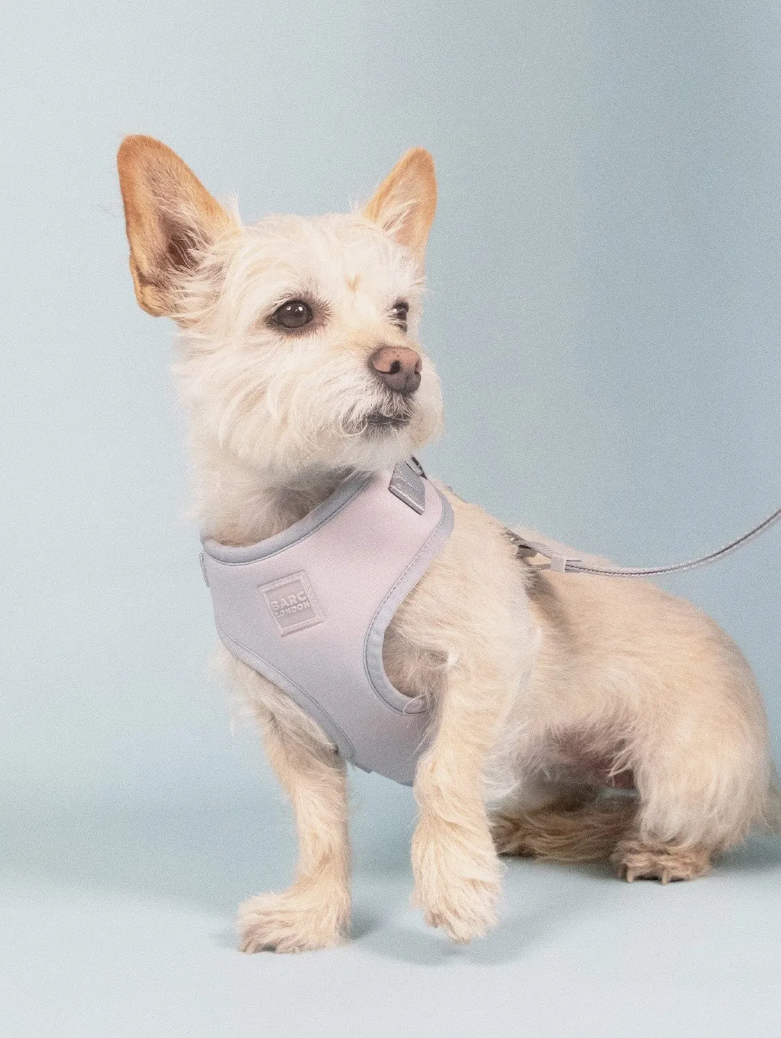 Easy Fit Nylon Fabric Cushioned Dog Harness | Frosted Blue