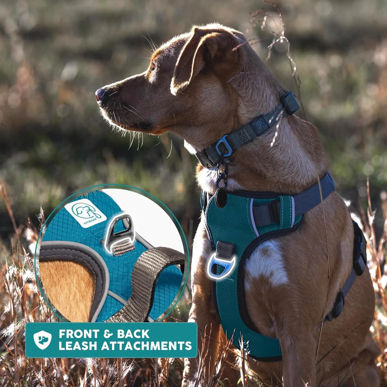 Embark Adventure Dog Harness, Reflective Trim No Pull Dog Harness Medium Sized Dogs - Military Grade Nylon, Front Clip with Gel Lined Handle.