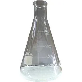 Erlenmeyer Flask