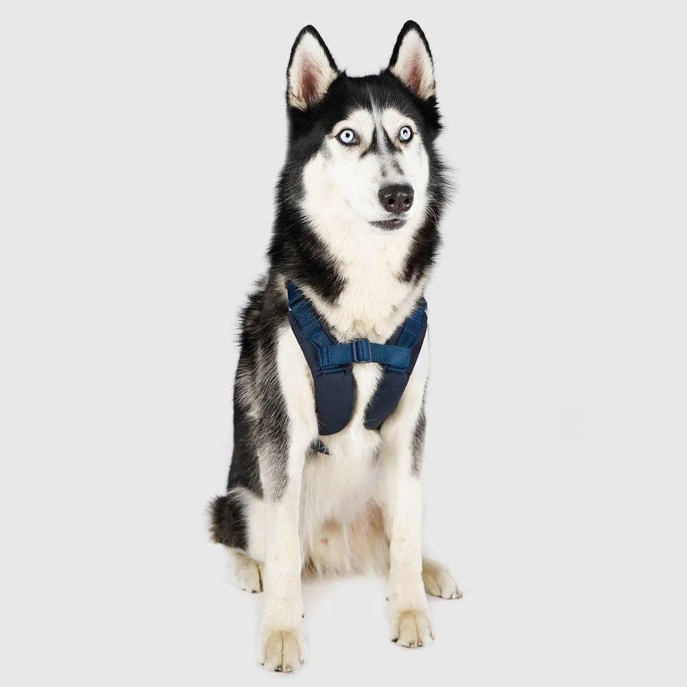 Explore| Adjustable Harness with Leather Navy Blue
