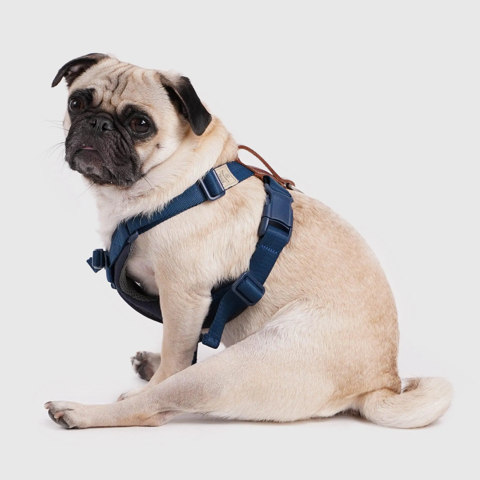 Explore| Adjustable Harness with Leather Navy Blue