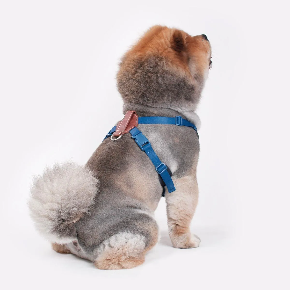 Explore| Adjustable Harness with Leather Navy Blue