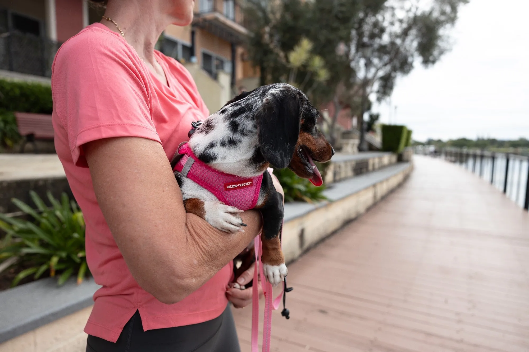 EzyDog FormFit Mesh Harness Pink