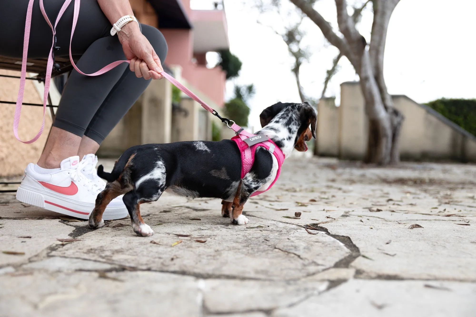 EzyDog FormFit Mesh Harness Pink