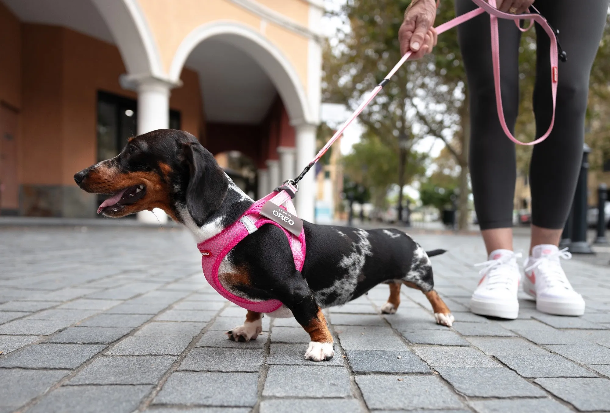 EzyDog FormFit Mesh Harness Pink