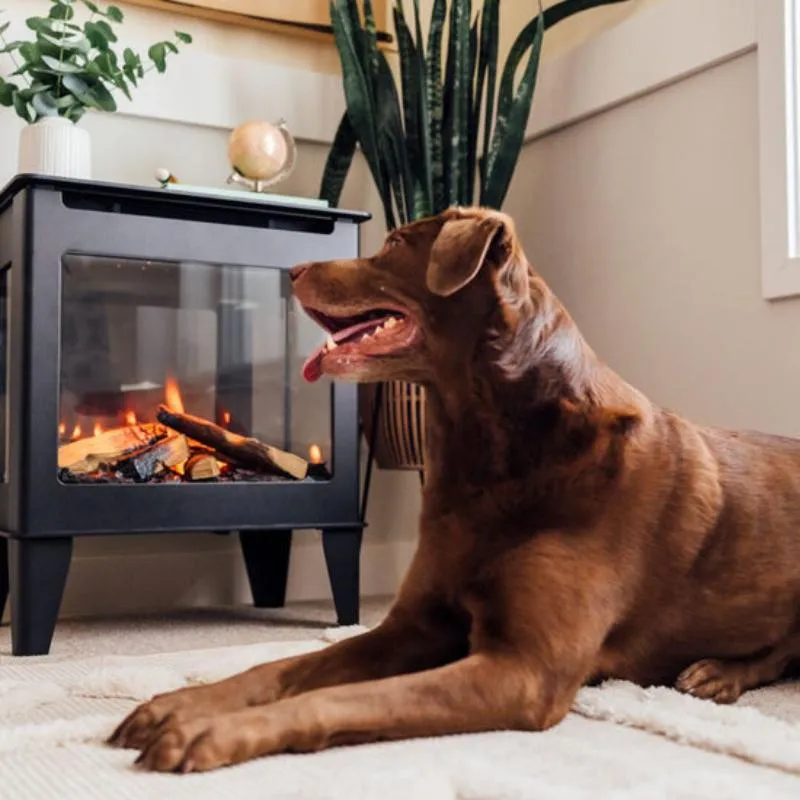 Forge & Flame Fuzion-EX Freestanding Electric Stove