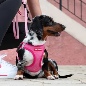FORMFIT Mesh Harness | Pink