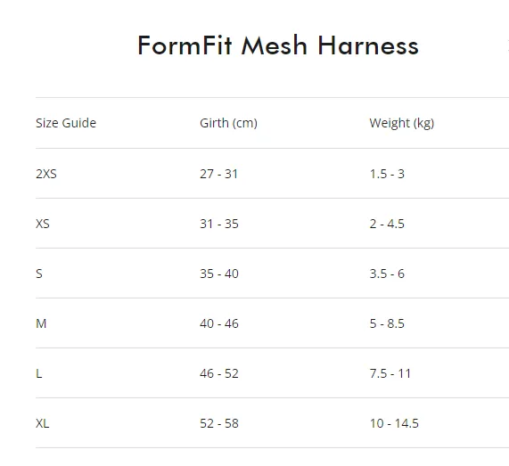 FORMFIT Mesh Harness | Pink