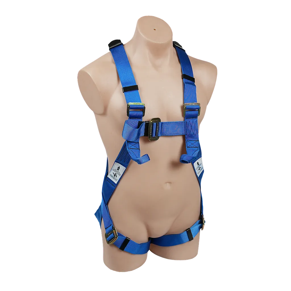 Full Body Harness with Lower Chest Loops | SBE2K