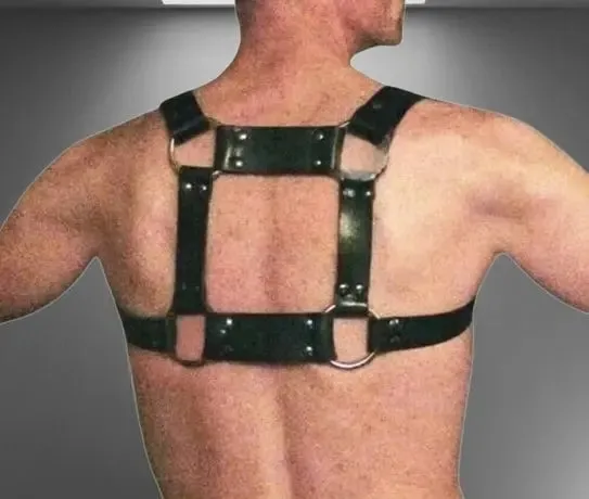 Gay Bear Harness