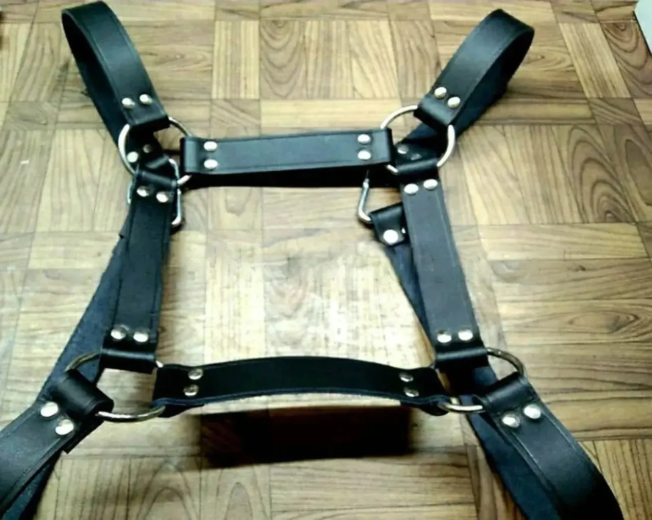 Gay Bear Harness