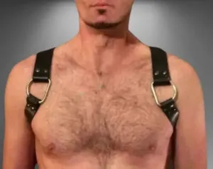 Gay Bear Harness