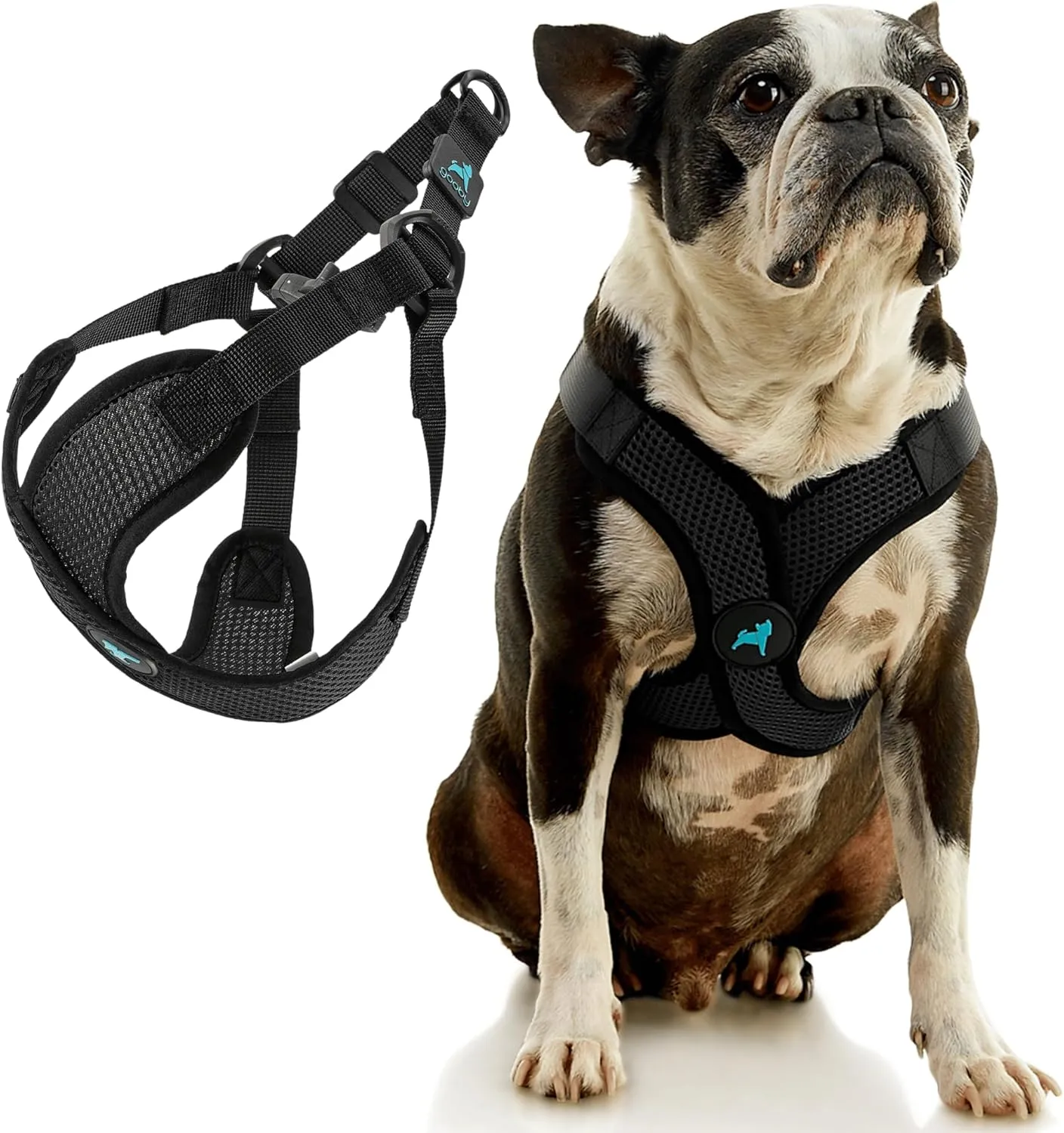 Gooby Comfort X Step in Lite Dog Harness - Choke Free, Escape Free with Light Breathable Mesh - Step in Dog Harness for Small and Medium Dogs - Quick Release Buckle, Metal D-Rings - Black, Small