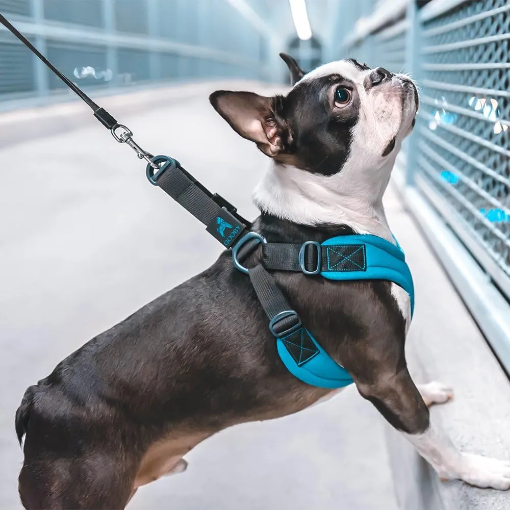 Gooby Escape Free Sport Harness - Blue, Small - No Choke Step-in Patented Neoprene Small Dog Harness with Four-Point Adjustment - Perfect on The Go Dog Harness for Medium Dogs No Pull and Small Dogs