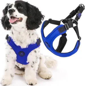 Gooby Escape Free Sport Harness - Blue, Small - No Choke Step-in Patented Neoprene Small Dog Harness with Four-Point Adjustment - Perfect on The Go Dog Harness for Medium Dogs No Pull and Small Dogs